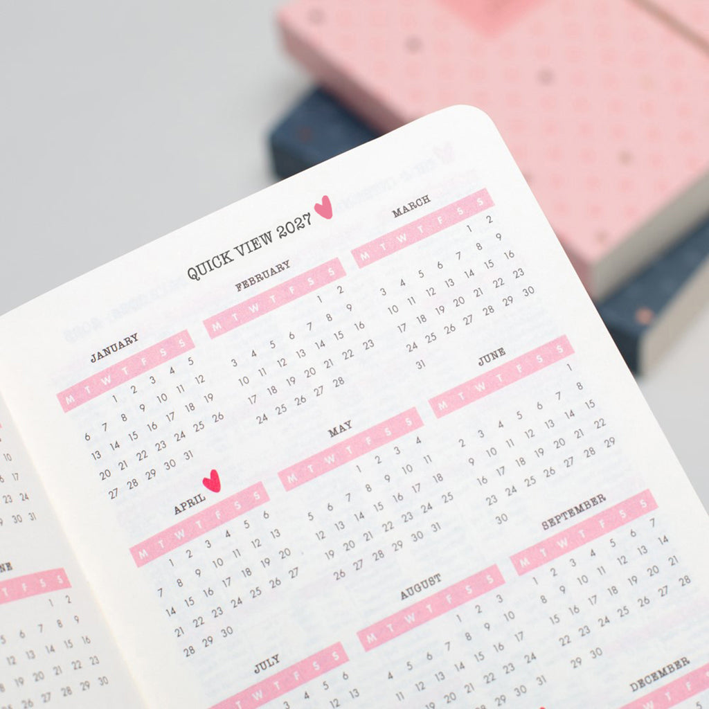 Matilda Moo | 2027 Diary - A6 Daily Planner | Day-to-Page in Pink